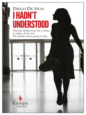 cover image of I Hadn't Understood
